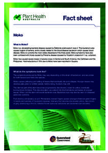 Fact sheet Moko What is Moko? Moko is a devastating bacterial disease caused by Ralstonia solancearum race 2. This bacterium also causes bugtok of banana, and is closely related to the blood disease bacterium which cause