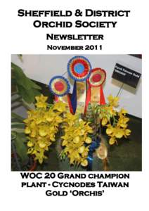 Sheffield & District Orchid Society Newsletter NovemberWOC 20 Grand champion