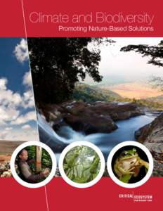 Biodiversity hotspots / Biodiversity / Conservation / Habitat / Critical Ecosystem Partnership Fund / Tropical Andes / Conservation biology / Cape Floristic Region / Wetland / Deforestation / Indo-Burma / Adaptation to global warming