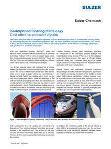 Sulzer Chemtech  2-component coating made easy Cost effective and quick repairs Until now, there has been no recognized standard for the automated application of 2-component coating materials frequently required for main