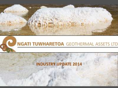 INDUSTRY UPDATE 2014  WHO WE ARE NGATI TUWHARETOA GEOTHERMAL ASSETS LTD (NTGA)