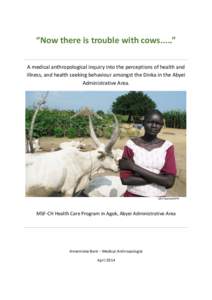 “Now there is trouble with cows.....” A medical anthropological inquiry into the perceptions of health and illness, and health seeking behaviour amongst the Dinka in the Abyei Administrative Area.  John Burnett/NPR