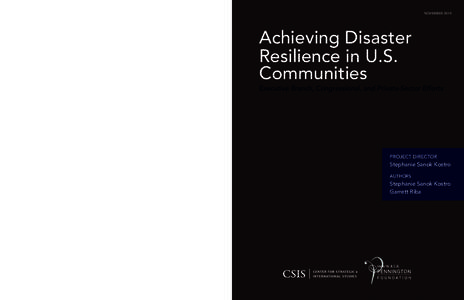 Achieving Disaster Resilience in U.S. Communities: Executive Branch, Congressional, and Private-Sector Efforts