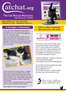 WELCOME TO THE CATCHAT NEWSLETTER • WINTERA Fortnight to Remember! Cavan Vets in Wolverhampton occasionally find themselves with a cat to rehome, but in October