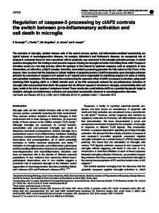 Apoptosis / Caspase 3 / Inhibitor of apoptosis / Caspase / Poly ADP ribose polymerase / Tumor necrosis factor-alpha / XIAP / Diablo homolog / Microglia / Biology / Cell biology / Programmed cell death
