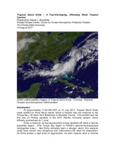 Tropical Storm Emily – A Fast-Developing, Ultimately Weak Tropical Cyclone Prepared by Daniel J. Brouillette Florida Climate Center, Center for Ocean-Atmospheric Prediction Studies The Florida State University 10 Augus