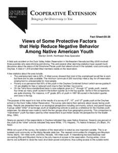 Views of Some Protective Factors that Help Reduce Negative Behavior Among Native American Youth.