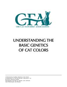 Tabby cat / Cat coat genetics / Oriental Shorthair / Cat / American Shorthair / Persian / Tortoiseshell cat / Siberian / Felis / Biology / Agriculture
