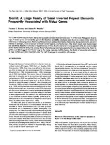 The Plant Cell, Vol. 4, [removed], October[removed]American Society of Plant Physiologists  Tourist: A Large Family of Small lnverted Repeat Elements Frequently Associated with Maize Genes Thomas E. Bureau and Susan 