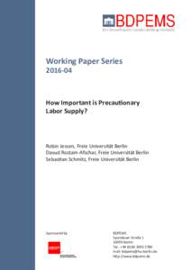 Working Paper SeriesHow Important is Precautionary Labor Supply?