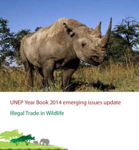 Illegal trade in wildlife  Another turn for the worse for endangered species High environmental, social and economic costs