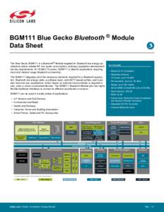 BGM111 Blue Gecko Bluetooth Module Data Sheet