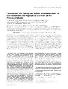 AMERICAN JOURNAL OF PHYSICAL ANTHROPOLOGY 136:19–[removed]Detailed mtDNA Genotypes Permit a Reassessment of