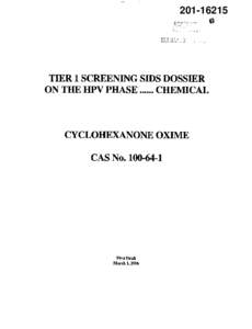 Robust Summaries & Test Plan: Cyclohexanone Oxime; Robust Summaries