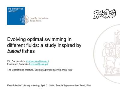 Evolving optimal swimming in different fluids: a study inspired by batoid fishes Vito Cacucciolo –  Francesco Corucci –  The BioRobotics Institute, Scuola Superiore S.Anna, Pisa