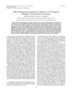 DNA / DNA polymerase / DNA repair / Base excision repair / Mutagenesis / Processivity / Okazaki fragments / Nucleotide excision repair / Pyrimidine dimers / Biology / DNA replication / Genetics
