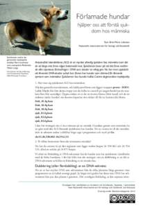 Förlamade hundar hjälper oss att förstå sjukdom hos människa Text: Britt-Marie Lidesten Nationellt resurscentrum för biologi och bioteknik  Sjukdomen canine degenerative myelopathy