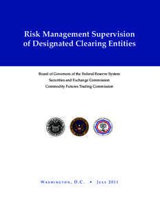 Risk Management Supervision of Designated Clearing Entities
