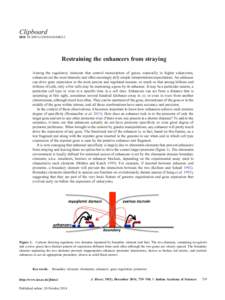 Clipboard DOI[removed]s12038[removed]Restraining the enhancers from straying Among the regulatory elements that control transcription of genes, especially in higher eukaryotes, enhancers are the most dramatic and ofte