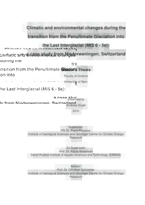 Climatic and environmental changes during the transition from the Penultimate Glaciation into the Last Interglacial (MIS 6 - 5e): a case study from Niederweningen, Switzerland  Master’s Thesis
