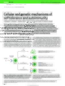 INSIGHT REVIEW  NATURE|Vol 435|2 June 2005|doi:nature03724 Cellular and genetic mechanisms of self tolerance and autoimmunity
