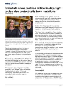 Scientists show proteins critical in day-night cycles also protect cells from mutations
