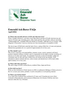 Emerald Ash Borer FAQs April 2016 Q: What is the emerald ash borer (EAB) and what does it do? EAB is a highly destructive, non-native insect that infests and kills all North American true ash species (Fraxinus spp.) incl