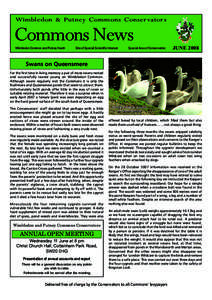 Wimbledon & Putney Commons Conser vators  Commons News Wimbledon Common and Putney Heath  Site of Special Scientific Interest
