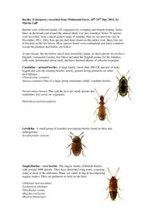 Beetles (Coleoptera) recorded from Widmouth Farm, 18th-25th May 2012, by Martin Luff
