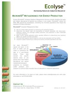 Harnessing Nature for Industrial Biocontrol  MICROBEID® METAGENOMICS FOR ENERGY PRODUCTION Ecolyse MicrobeID® Industrial Amplicon Metagenomics Services robustly identifies the types and relative abundances of bacteria 
