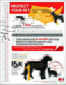 Heartworm disease is prevalent in  ALLSTATES 5 6