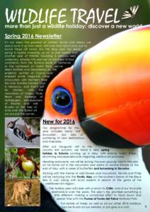 WILDLIFE TRAVEL  more than just a wildlife holiday: discover a new world Spring 2016 Newsletter It’s not been the greatest of winters: damp and dreary just about sums it up from here, with one final fall of snow just t