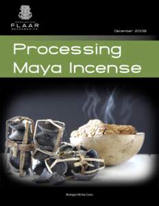 DecemberProcessing Maya Incense  Biologist Mirtha Cano