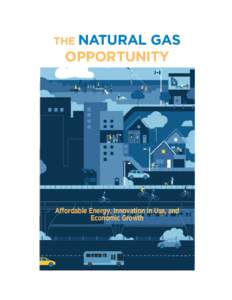 The Natural Gas opportunity - final english.indd