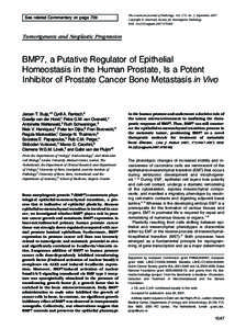 See related Commentary on page 739  The American Journal of Pathology, Vol. 171, No. 3, September 2007 Copyright © American Society for Investigative Pathology DOI: [removed]ajpath[removed]