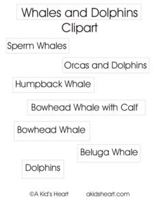 Whales and Dolphins Clipart Sperm Whales Orcas and Dolphins Humpback Whale Bowhead Whale with Calf