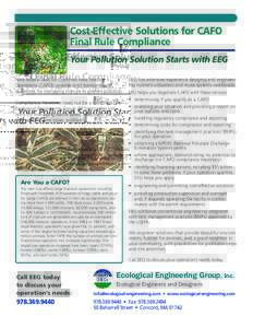 Cost-Effective Solutions for CAFO Final Rule Compliance Your Pollution Solution Starts with EEG New federal laws for Confined Area Feedlot Operations (CAFOs) provide strict standards and guidelines for managing manure to