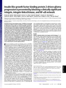 Insulin-like growth factor-binding protein 2-driven glioma progression is prevented by blocking a clinically signiﬁcant integrin, integrin-linked kinase, and NF-κB network Kristen M. Holmesa, Matti Annalab, Corrine Y.
