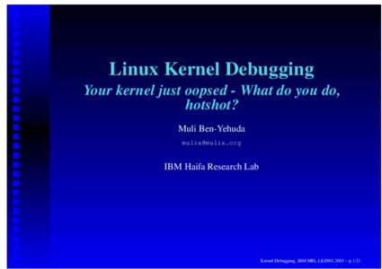 Linux Kernel Debugging Your kernel just oopsed - What do you do, hotshot? Muli Ben-Yehuda 