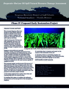 Deepwater Horizon Oil Spill Natural Resource Damage Assessment  Seagrass Recovery Project at Gulf Islands National Seashore – Florida District Phase IV Proposed Early Restoration Project PROJECT DESCRIPTION
