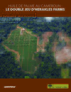 Huile de palme au Cameroun : le double jeu d’Herakles Farms Huile de palme au Cameroun : le double jeu d’Herakles Farms En septembre 2012, l’Oakland Institute a publié, en collaboration avec Greenpeace Internat