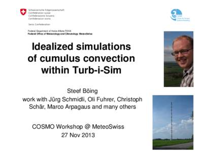 Federal Department of Home Affairs FDHA Federal Office of Meteorology and Climatology MeteoSwiss Idealized simulations of cumulus convection within Turb-i-Sim