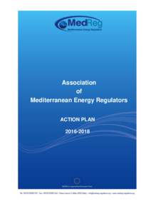 Association of Mediterranean Energy Regulators ACTION PLAN