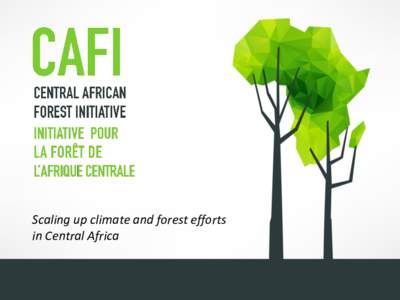 Scaling up climate and forest efforts in Central Africa Why scale up forest and climate efforts in Central Africa? •