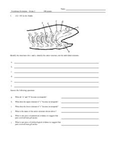 Name Vertebrate Evolution - Exampoints