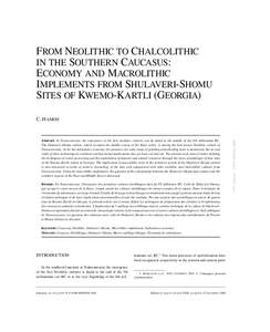 FROM NEOLITHIC TO CHALCOLITHIC IN THE SOUTHERN CAUCASUS: ECONOMY AND MACROLITHIC