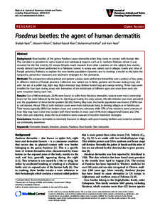 Paederus beetles: the agent of human dermatitis