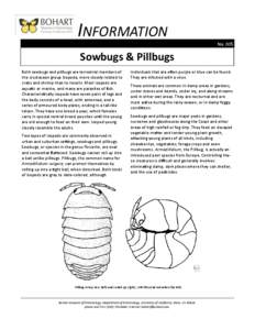 INFORMATION No. 005 Sowbugs & Pillbugs Both sowbugs and pillbugs are terrestrial members of the crustacean group Isopoda, more closely related to