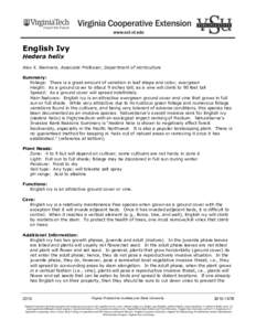 English Ivy Hedera helix Alex X. Niemiera, Associate Professor, Department of Horticulture Summary: Foliage: There is a great amount of variation in leaf shape and color; evergreen Height: As a ground cover to about 9 in