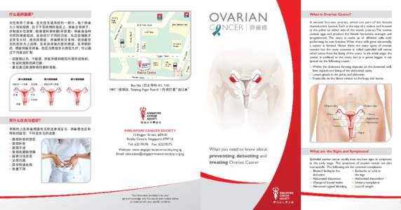 Ovarian Cancer Leaflet (white)